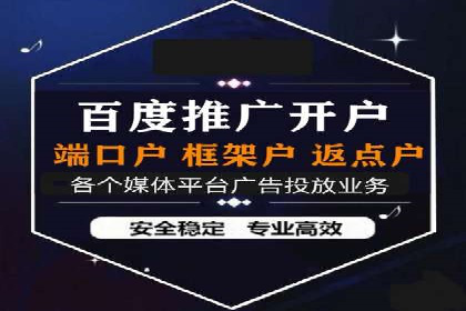 某电商平台的SEM服务全解析