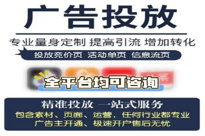 成功SEM托管案例解析